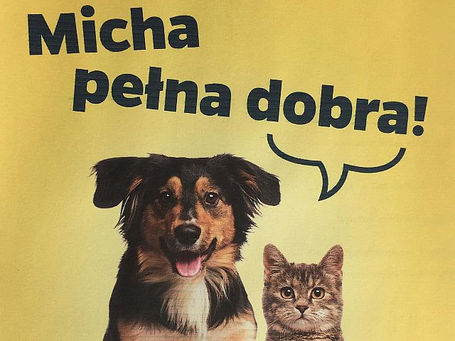 Micha pełna dobra