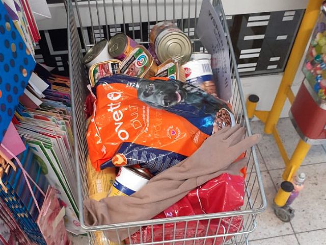 Podziękowania dla klientów i pracowników Stokrotka 